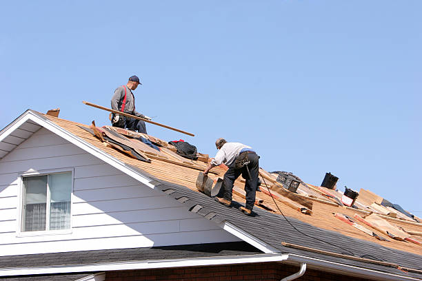 Best Roof Maintenance and Cleaning  in Olivehurst, CA